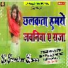 Chhalkta Hamro जवनिया Ye Raja PawanSingH Full Garda Dance Mix Hard JBL Tahalka BaSs Mix Dj Parmeshwar Banaras 
